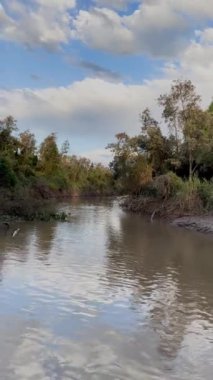 Güneşli bir yaz öğleden sonrasında Parana nehri boyunca adaların ortasında bir yürüyüşün 4k dikey videosu.. 