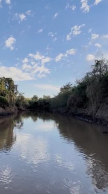Parana nehrinden bir tekne manzarası, yeşil nehir kıyısı boyunca nehir yolculuğu, 4K video.
