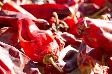 Salta, Arjantin 'de kırmızı biberlere çok yakın. Duvar kağıdı. Kopya için yer var. Broşürler için arka plan ya da doğal organik mutfak ürünleri. tütsülenmiş kırmızı biber