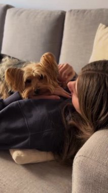 Genç kız sevimli Yorky hayvanını okşuyor. Rahatla ve evcil hayvanlarla oyna. Aşk ve köpeklere adanmışlık. Dikey görüntüler.
