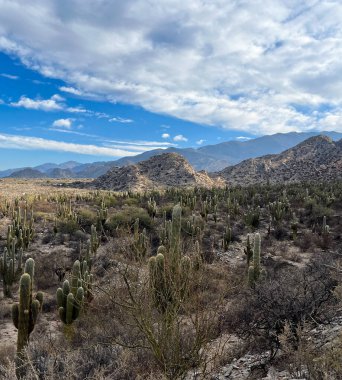 Tucuman 'ın manzarası. Egzotik manzaralar. Macera turizmi. Turizm promosyonları için arka plan. Tucuman Ulusal Parkı