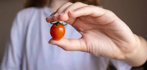 Feshly harvet vişneli domates. Durgun hayat. Sağlıklı gıda konsepti. Bahçeden sebzeler. Vejetaryen ve vejetaryen yemek promosyonları için kullanılır.