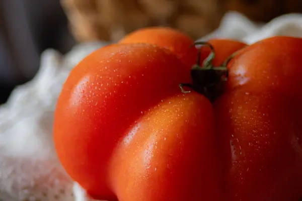 Sağlıklı gıda konsepti. Su damlalı domates. Durgun hayat. Bahçeden sebzeler. Yemek tarifi dergileri ve vejetaryen yemek promosyonları için kullanılır..