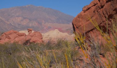 Salta 'nın manzarası. Terfi ve seyahat ve turizm acentelerinin reklamları için kullanılır. Ekolojik turizm. Kuzey Arjantin 'in egzotik manzaraları.