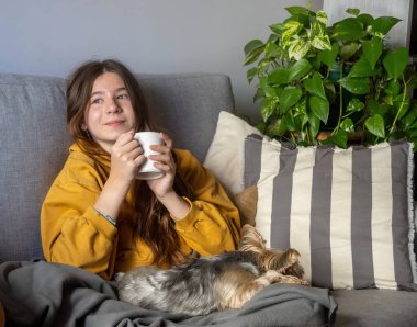 Oturma odasında evcil hayvanıyla eğlenen tatlı bir kızın yatay çekimi. Bedava yaşam tarzı konsepti. Sakin ve mutlu anlar. Yavru köpek severler. Rahatlatıcı kış anları