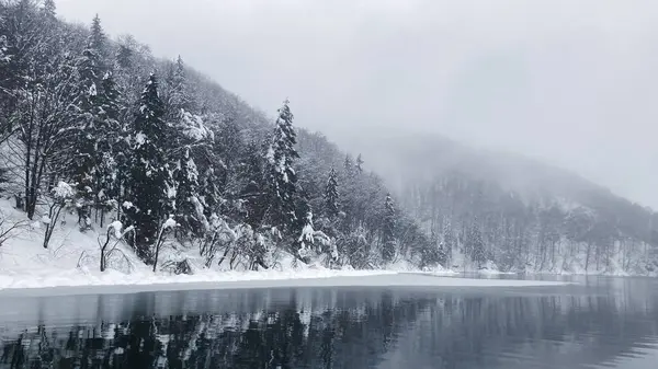Noel tatili geçmişi. Plitvice Gölleri, Hırvatistan Ulusal Parkı, kış boyunca, karla kaplı manzara fotoğrafları.
