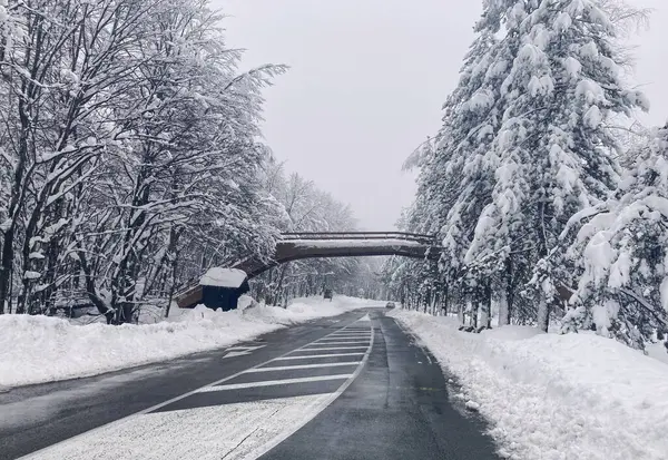 Plitvice Lakes Parkı, kışın popüler turizm merkezi. Noel tatili geçmişi. Manzara fotoğrafı. Seyahat promosyonları için kış sezonu fotoğrafları.
