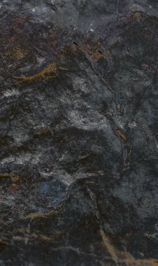 Seçici bulanıklığa sahip arka planlar için dikey grafik kaynaklı soyut duvar kağıdı. Yüksek kalite. Boşluğu kopyala. 