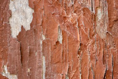 Eskimiş boyalar, eski malzemeler, Craquelure. Yıpranmış pas ve eski tip doku. Antika boyalı doku. Soyut duvar kağıdı. Boşluğu kopyala