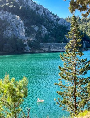 Krka Ulusal Parkı, Hırvatistan. Doğal bir ortamda huzur ve rahatlama. Egzotik seyahat ve turizm. Turizm getirileri için arka plan.