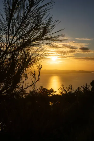 Adriyatik Denizi 'nde gün batımı, Hırvatistan. Rahat yaz turizmi. Seyahat acenteleri ve seyahat promosyonu için mükemmel. Güzel seyahat yerleri var. Yaz turizmi kavramı. Dikey resim. Sosyal medya iletileri için ideal