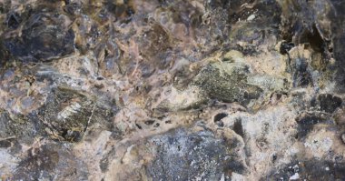 Antik kayalık dokuların makro fotoğrafı. Hayatta kalma temalarında, kıyamet sonrası kavramlarda veya jeolojik çalışmalarda stok kullanımı için birebirdir. Doğal erozyon ve mineral zengini tonlar.