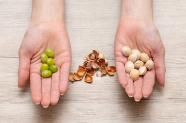 Bir kadının eli ginkgo fındığı tutuyor.