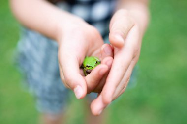 Bir çocuk kurbağayı yakaladı.