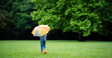 cute girl  with  umbrella in park in autumn season