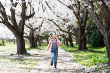 Genç Asyalı kız Sakura ağaçlarıyla parkta eğleniyor. 