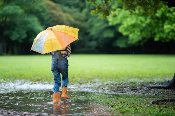 cute girl  with  umbrella in park in autumn season