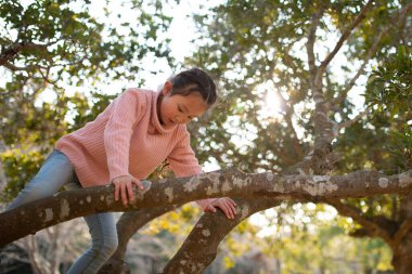 Mutlu küçük kız ağaca tırmanıyor.