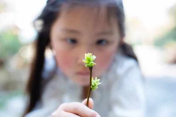 stock image Girl who found a new sprout