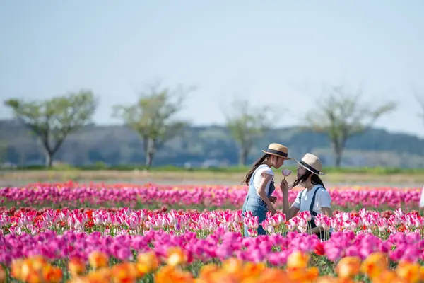 beautiful asian girl with mother  in the flower field