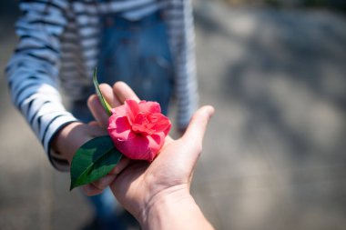 Bir çocuk ve anne elleri açık havada çiçek taşıyor.