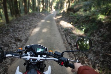 Orman yolunda koşan motosiklet.