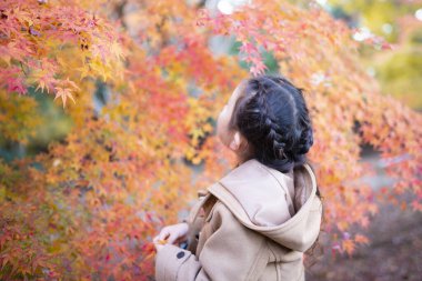 Sonbahar parkındaki sevimli Asyalı kız. 