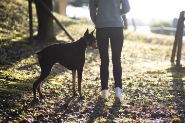 kadın ile köpek yürüyüş