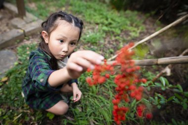 Kırmızı meyve alan kız