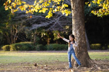 sonbahar parkta oynayan kız