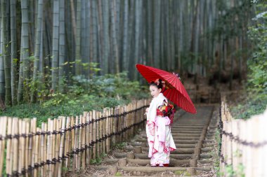 Parkta şemsiyesi olan geleneksel Japon elbiseli Asyalı kız. 