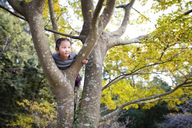 Kız ağaca tırmanıyor.