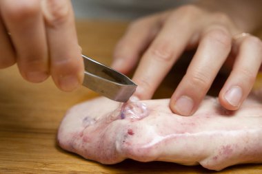 Balıkçı karaciğeri. 