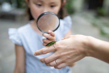 Böceğin üzerindeki büyüteçten bakan genç kız