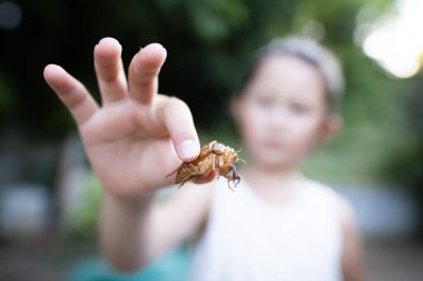 Boş ağustos böceği kabuğu olan kız.