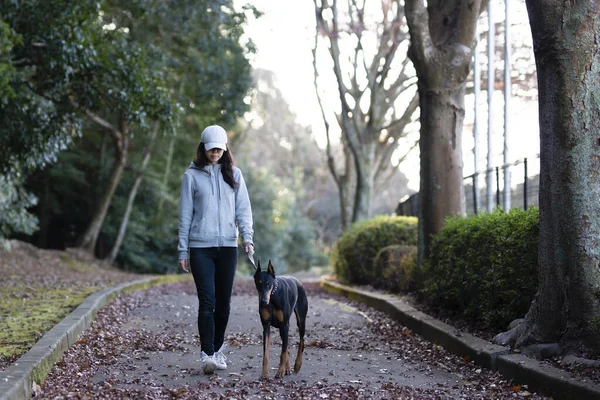 Donna Che Cammina Con Cane — Foto Stock
