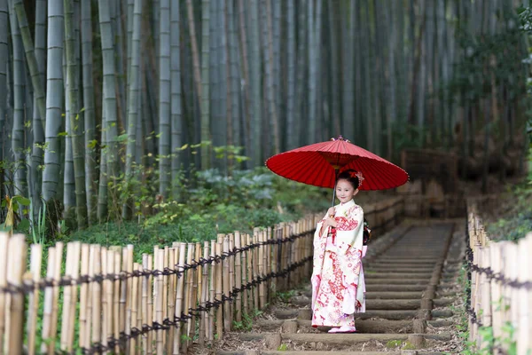 Parkta şemsiyesi olan geleneksel Japon elbiseli Asyalı kız. 