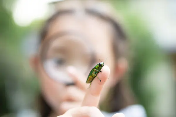 Böceğin üzerindeki büyüteçten bakan genç kız