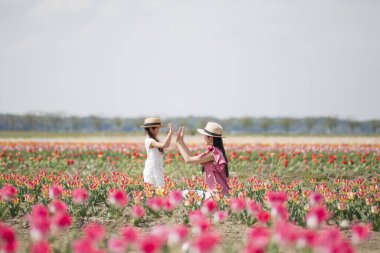 Güzel Asyalı kız ve annesi çiçek tarlasında