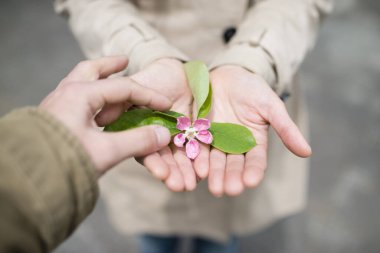 Çiçekli insan elleri.