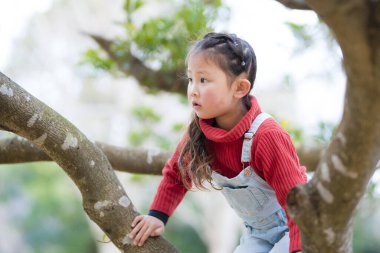 küçük kız ağaca tırmanma