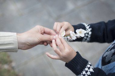 Bir çocuk annesinin eline kiraz çiçeği veriyor.