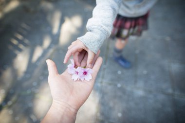 Bir çocuk ve anne elleri açık havada çiçek taşıyor.