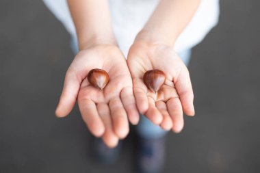 Kestane tutan çocukların elleri