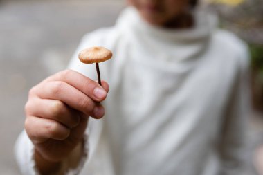 Küçük bir mantar tutan çocuk