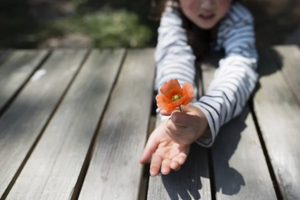 Маленькая Девочка Цветком Открытом Воздухе — стоковое фото