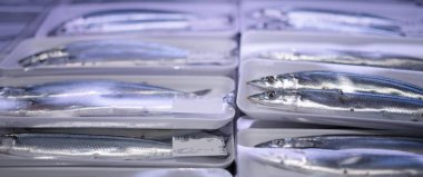 Modern pazarda balık