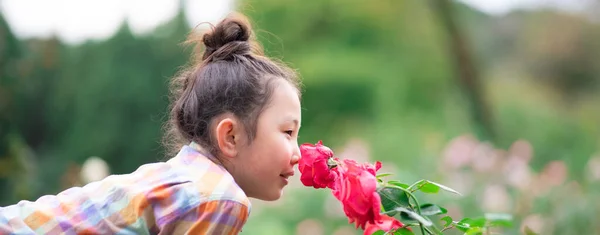 Девушка Нюхающая Красные Розы — стоковое фото