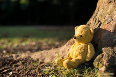 TEDDY AYI Çimenlerin üzerinde kahverengi