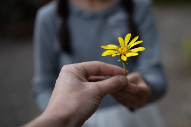 Sarı papatyayı ellerinde tutan kadın ve kız